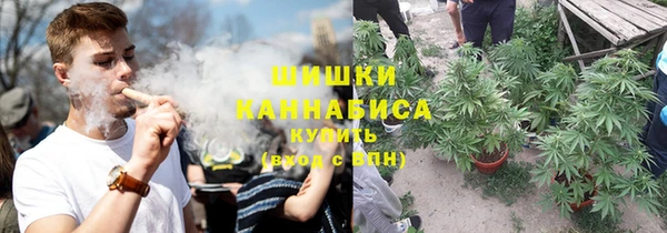 амф Арсеньев