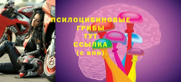 амф Арсеньев