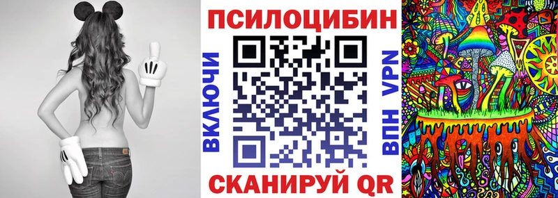 Галлюциногенные грибы GOLDEN TEACHER  магазин  наркотиков  Борисоглебск 