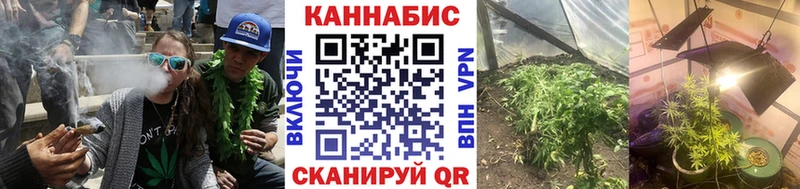 Марихуана сатива  закладка  Борисоглебск 